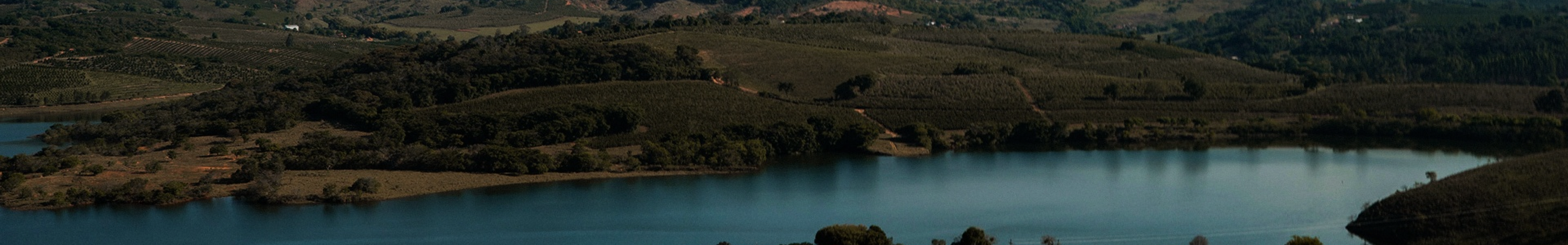 Banner de Cafe